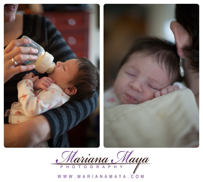 newborn, 13 days new, infant, portraits
