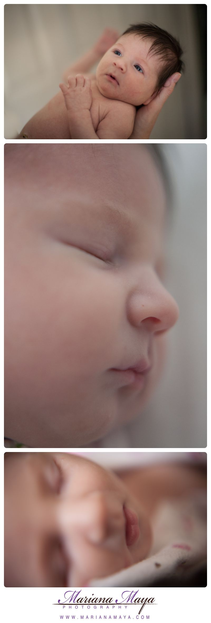 new born sleeping portraits